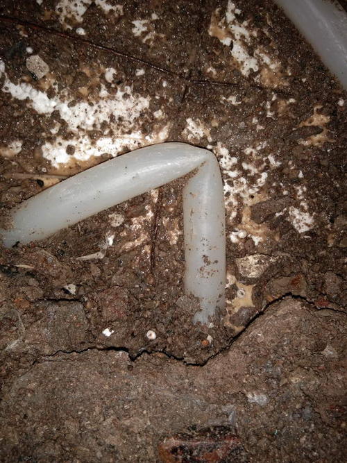 金溪堵点精准查找